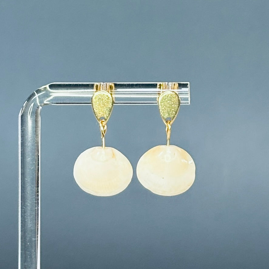 Clamshell Gold Teardrop Studs